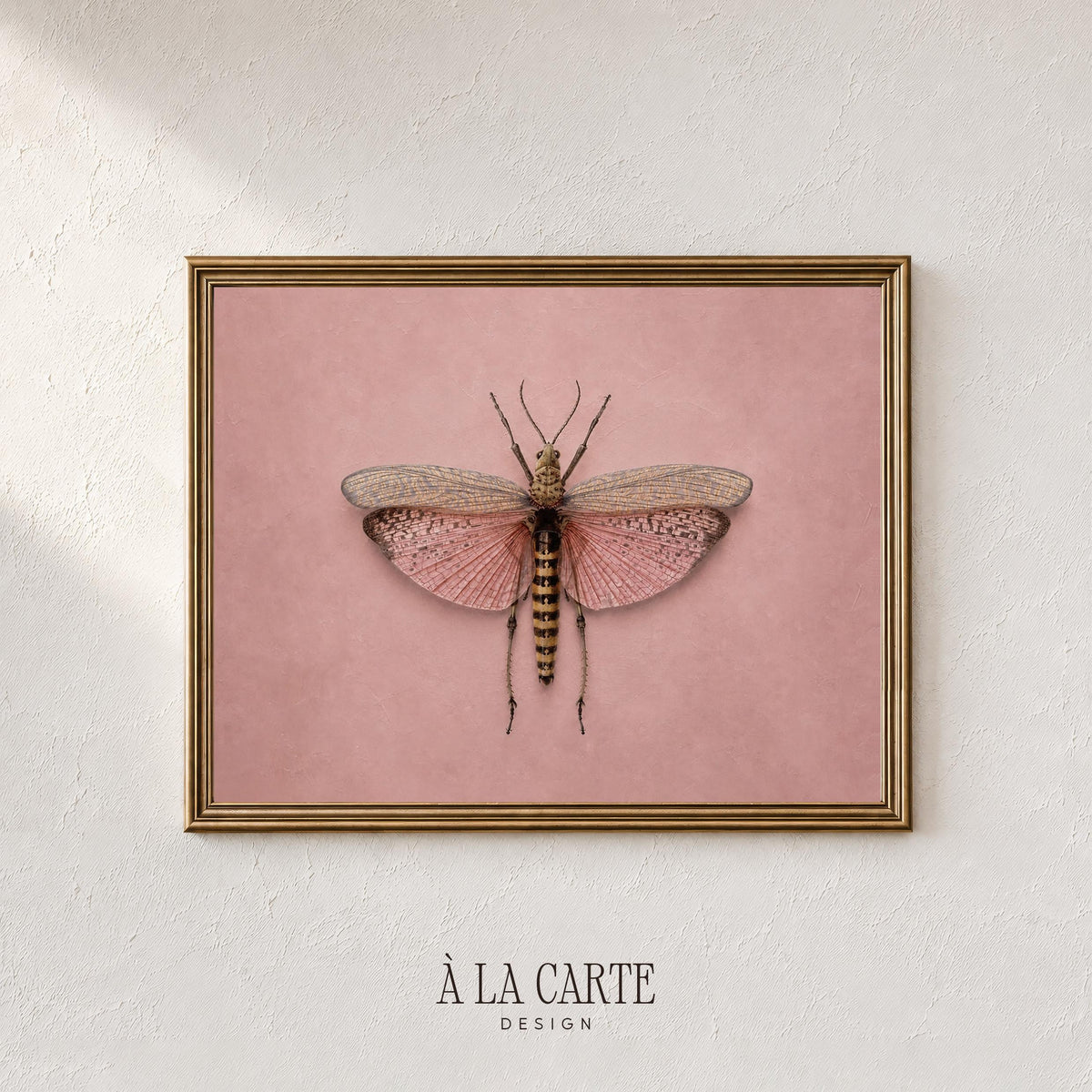Vintage insect wall art printable design for living room — cottagecore aesthetic with detailed wing veins