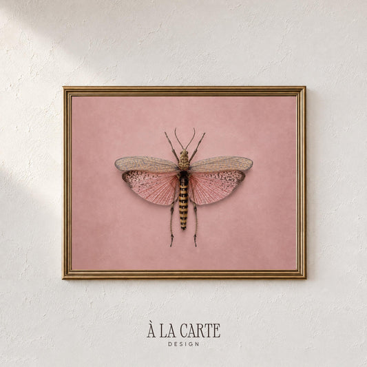 Vintage insect wall art printable design for living room — cottagecore aesthetic with detailed wing veins