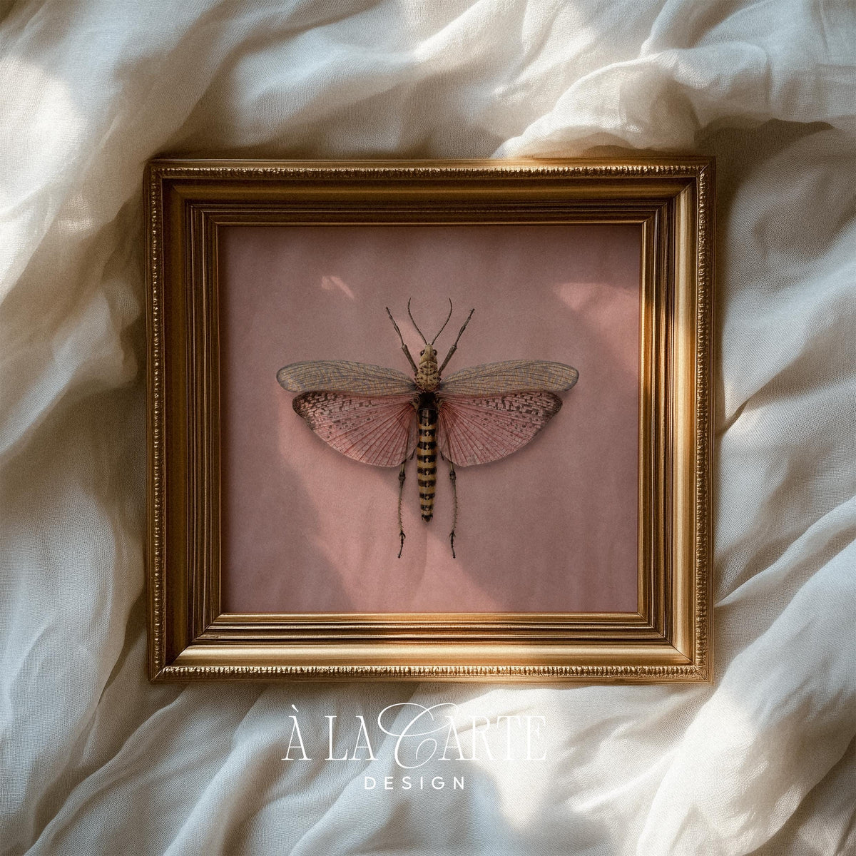 Vintage butterfly illustration wall art for bedroom — delicate specimen print with soft pink background