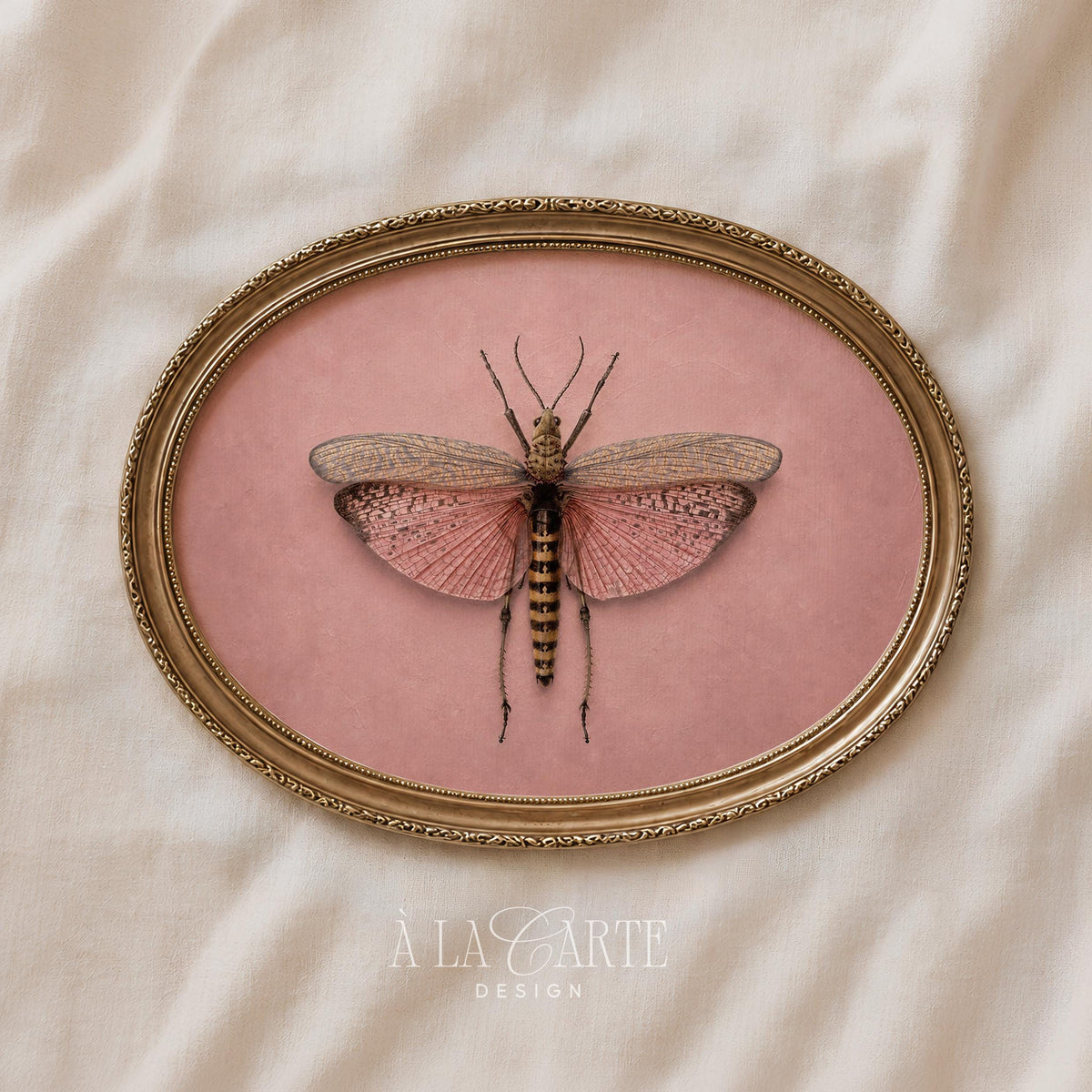 Antique entomology picture printable art for office — symmetrical moth illustration with romantic mood