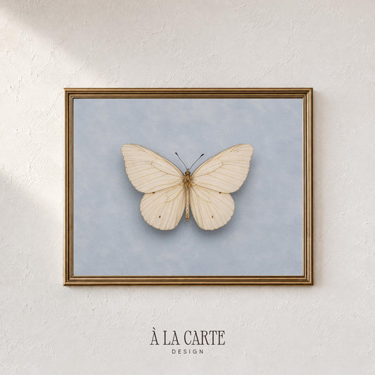 Delicate lepidopteran digital download wall art for office — quiet natural history museum mood