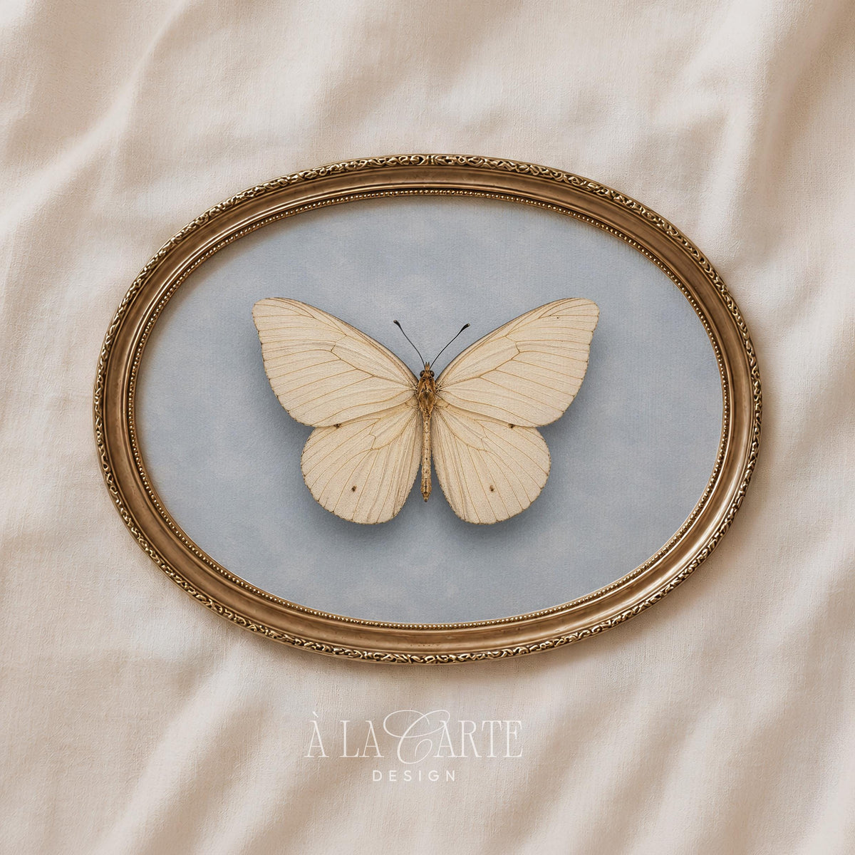 Vintage winged creature wall picture for living space — calm cottagecore aesthetic with aged elegance