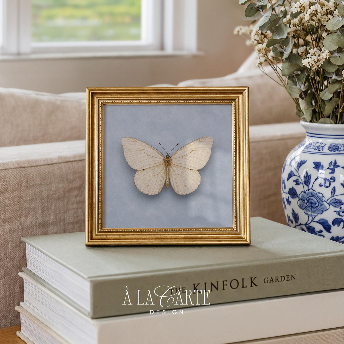 Botanical butterfly picture for farmhouse décor — soft veined wings on weathered vintage background
