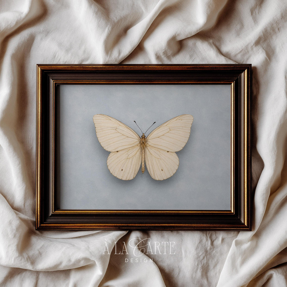 Pale insect wall painting for study room — understated vintage mood with muted blue and cream tones