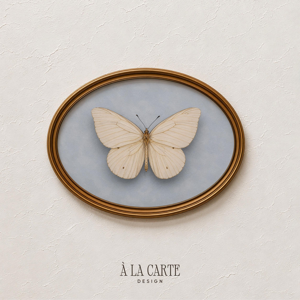 Fine art butterfly poster for bedroom — soft painterly illustration evoking historical naturalist collections