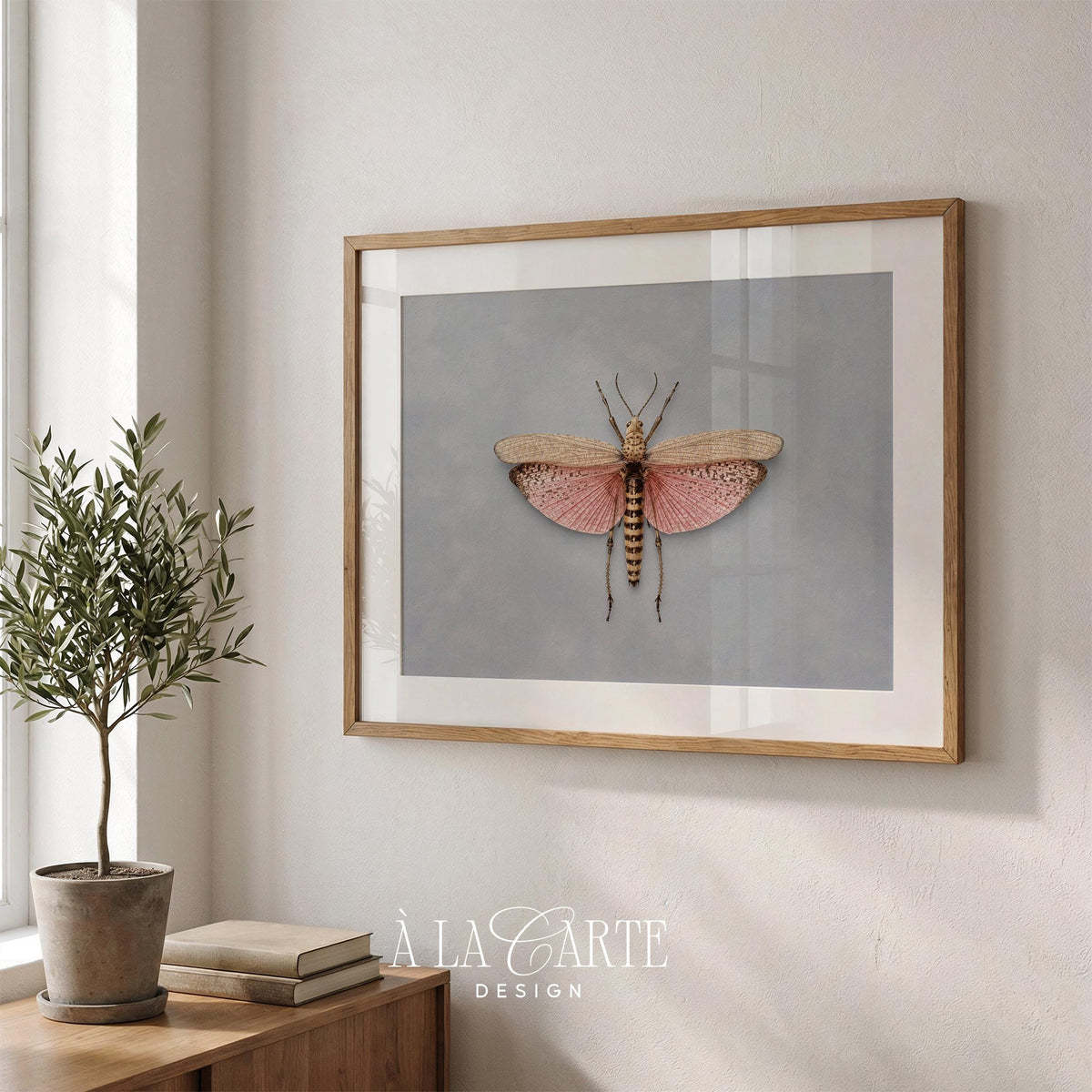 Botanical insect wall picture for living space — muted cottage aesthetic with intricate wing patterns