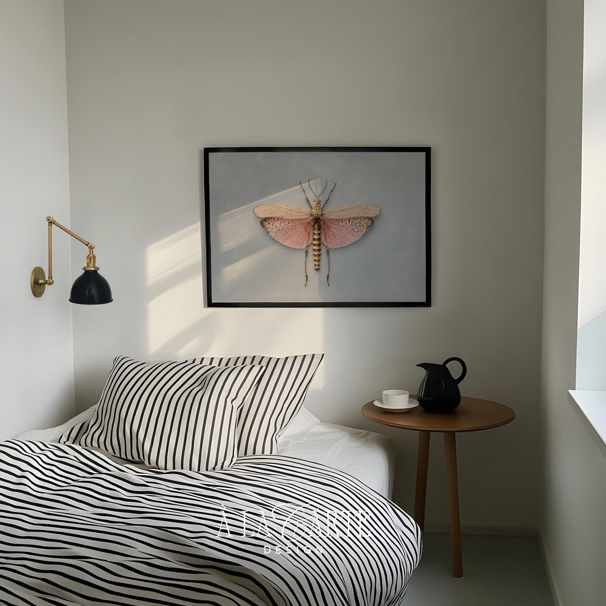 Moth specimen poster for study — naturalist entomology print with soft cream and pink tones