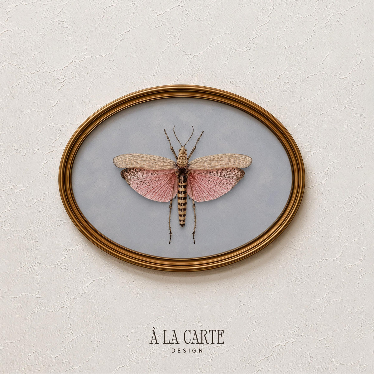 Antique insect wall art featuring detailed linework and cottagecore aesthetic for living room
