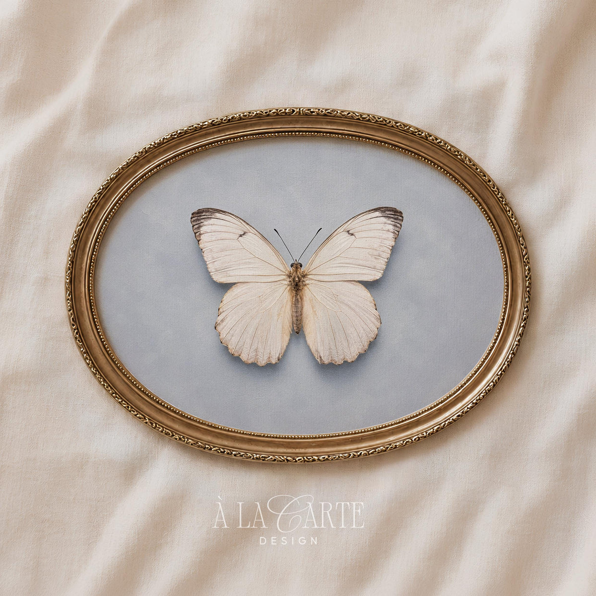 Vintage lepidopteran picture — calming neutral wall art perfect for serene bedroom spaces