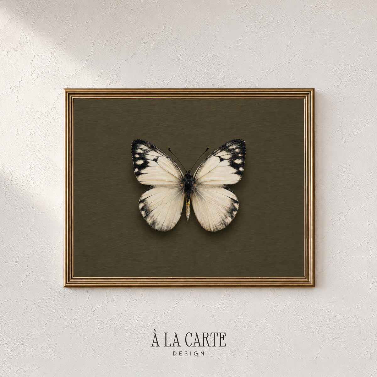 Pale-winged butterfly poster for living room — rustic elegance with deep olive backdrop evoking natural history cabinet display
