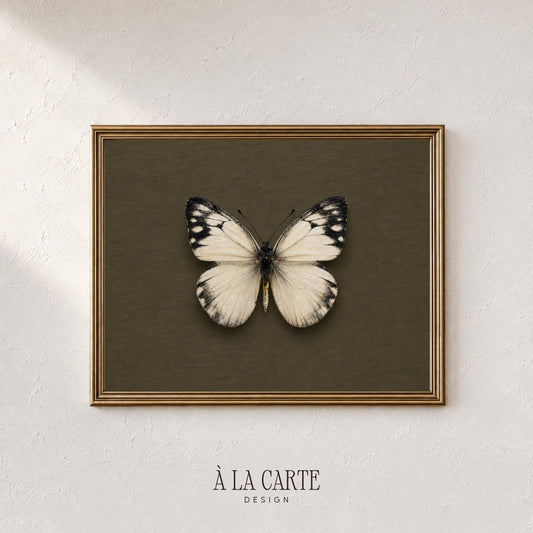 Pale-winged butterfly poster for living room — rustic elegance with deep olive backdrop evoking natural history cabinet display