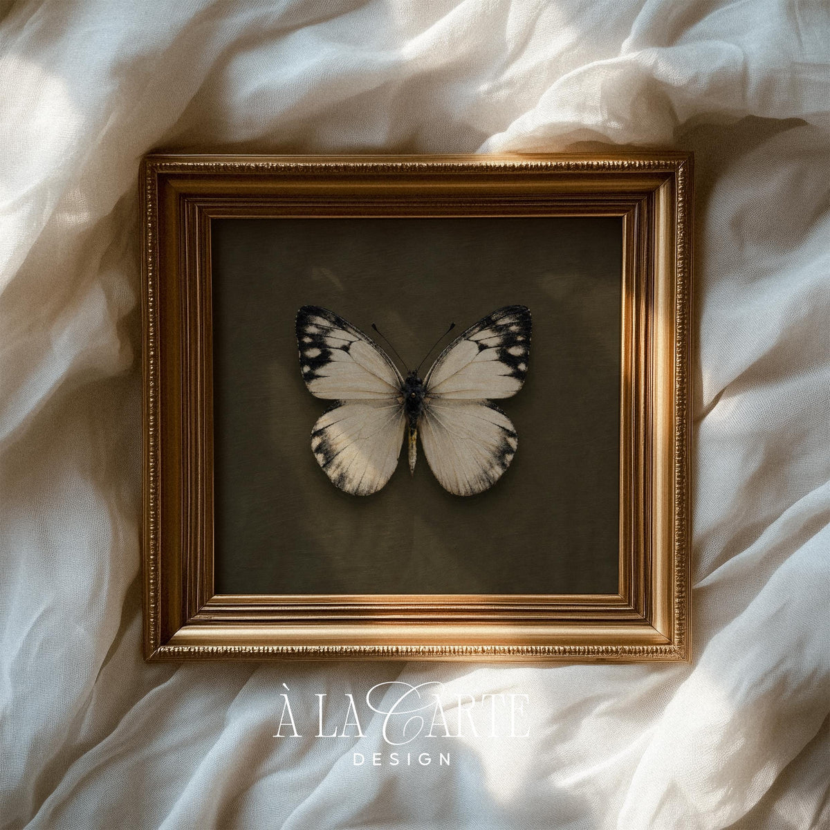 Botanical butterfly digital print for gallery wall — refined specimen-style artwork in soft realistic tones with sophisticated styling