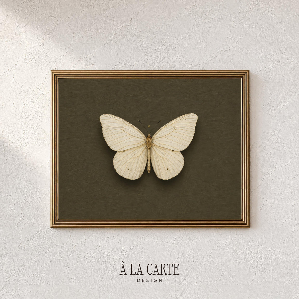 Classic insect digital art print for gallery wall — moody vintage museum display with intricate wing illustration