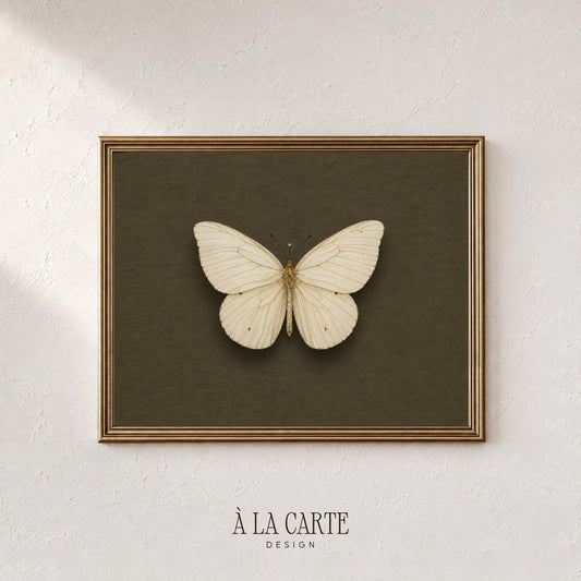 Classic insect digital art print for gallery wall — moody vintage museum display with intricate wing illustration