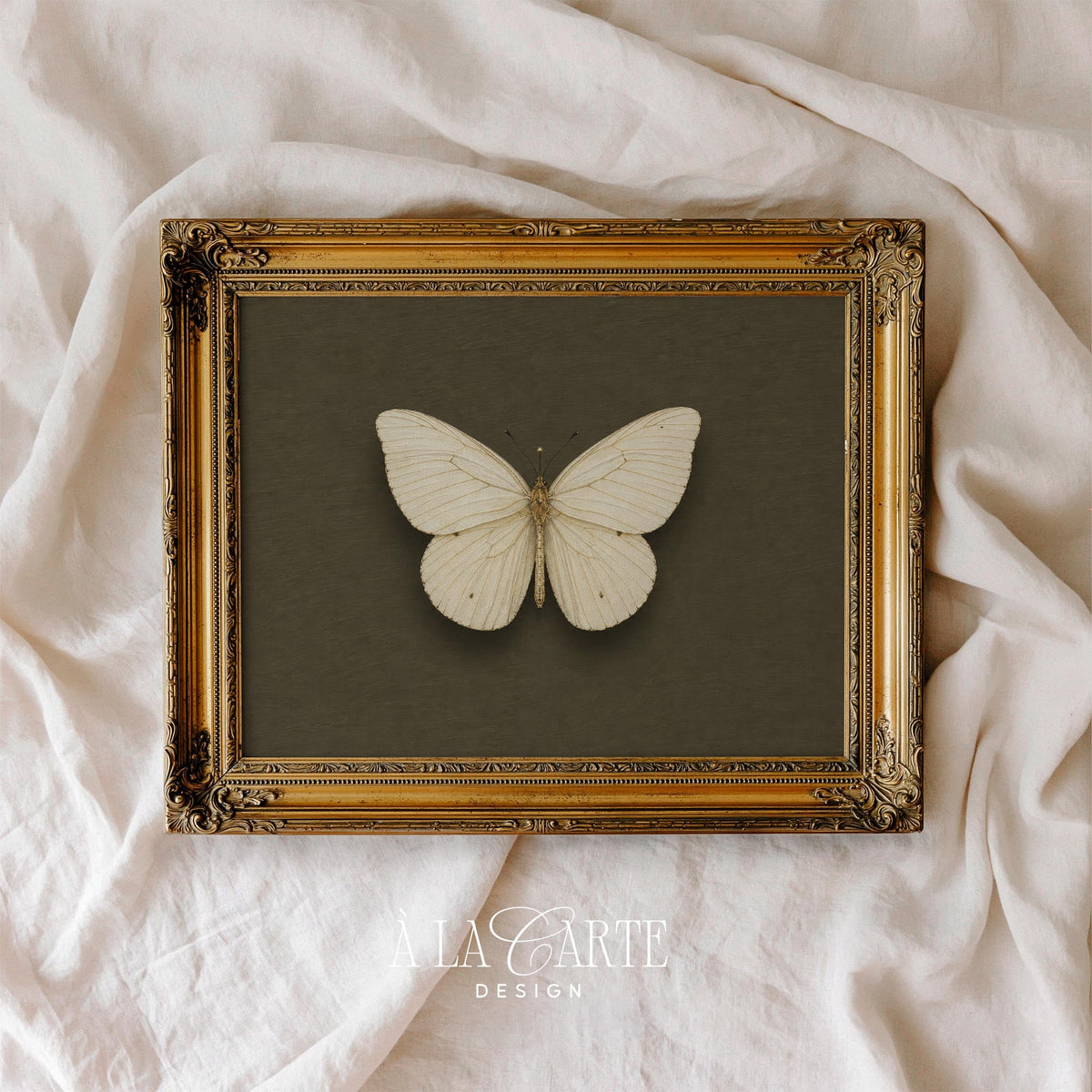 Antique lepidopteran artwork printable instant download — moody collectors' print with deep olive tones