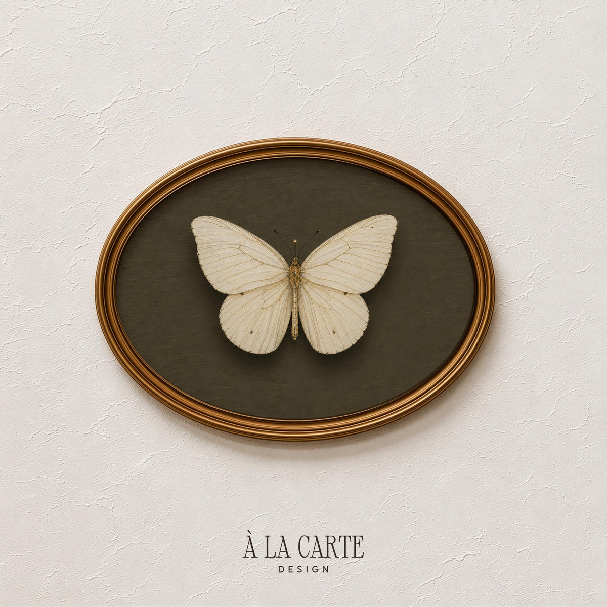 Cream butterfly painting digital download — cottage core naturalist print with museum specimen vibes