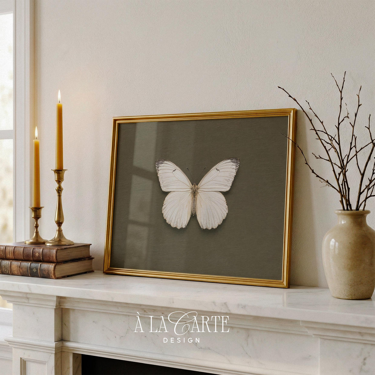Pale butterfly painting for farmhouse decor — naturalistic specimen display with earthy sophisticated mood