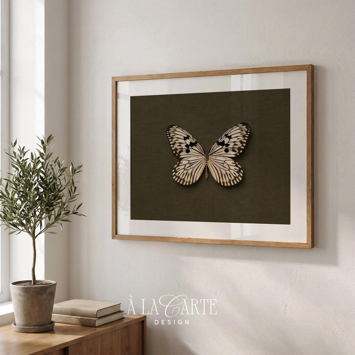Cream and black patterned butterfly wall art print for study — vintage naturalist specimen illustration with olive-green background
