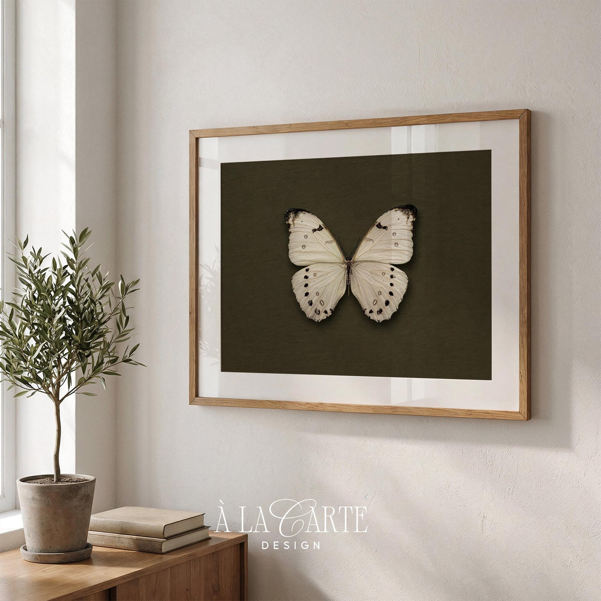 Botanical butterfly artwork printable — cream-winged design on deep green with naturalist period charm