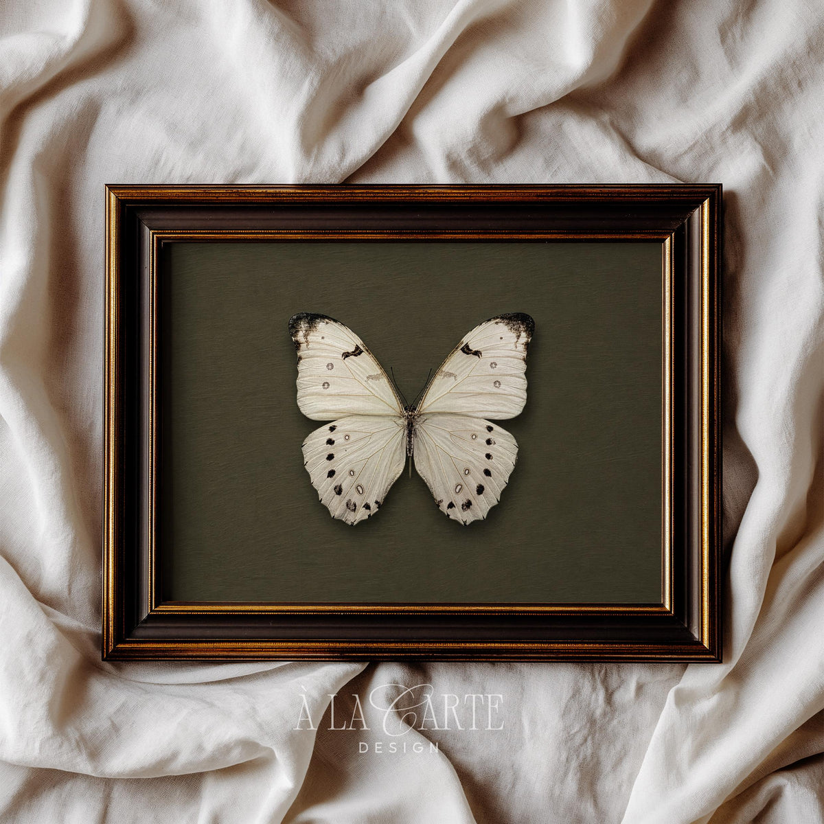 Butterfly poster for neutral décor — cream and sage scientific-style print with timeless cottagecore character