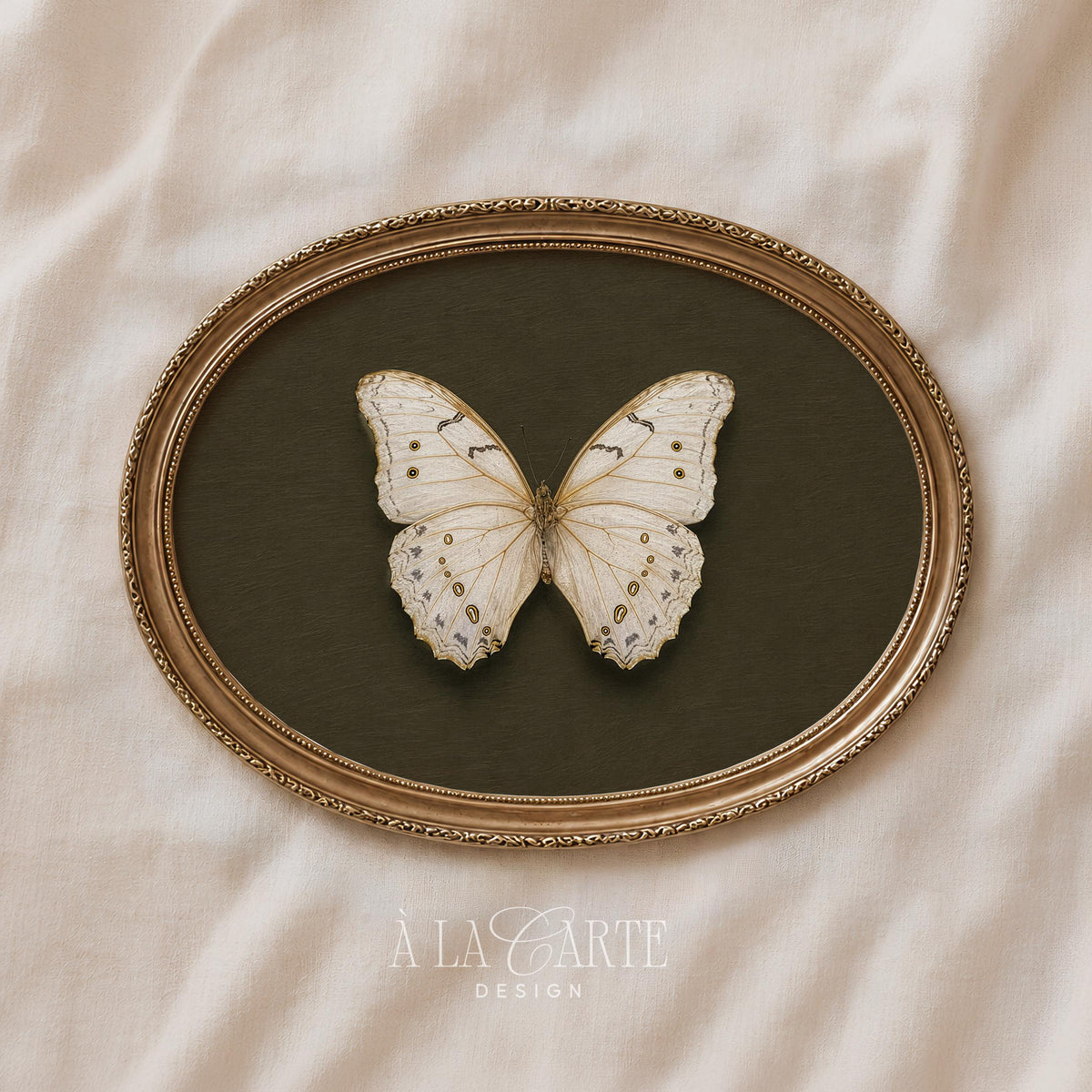 Cottage core nature poster featuring cream butterfly — fine linework on deep sage background