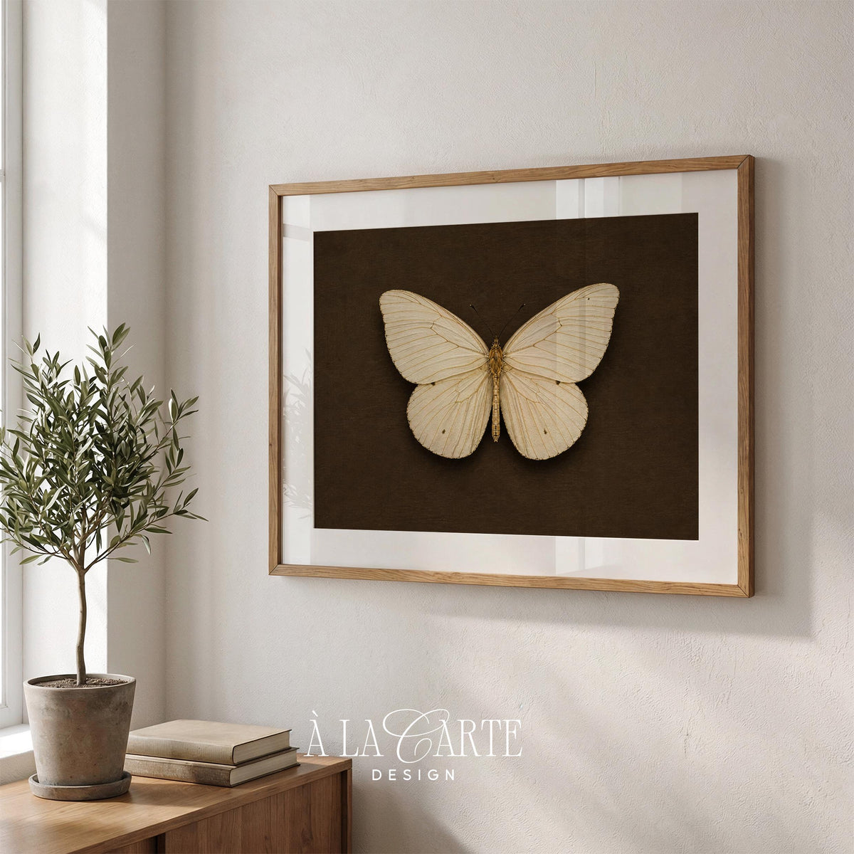 Classic naturalist butterfly artwork instant download — aged specimen display style with fine detail and moody tones