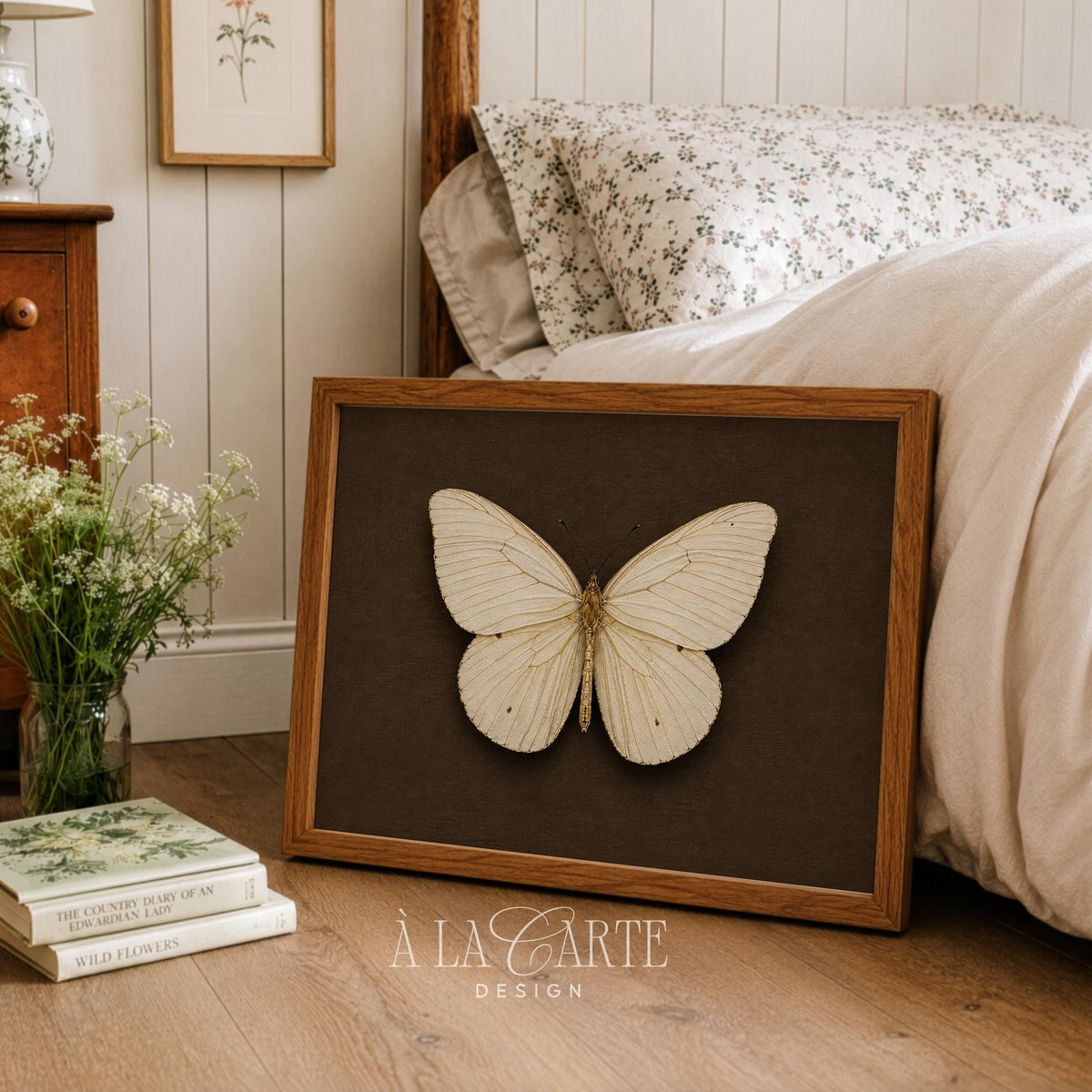 Aged entomology print wall art for hallway — pale winged insect in quiet collector's cabinet aesthetic with brown tones