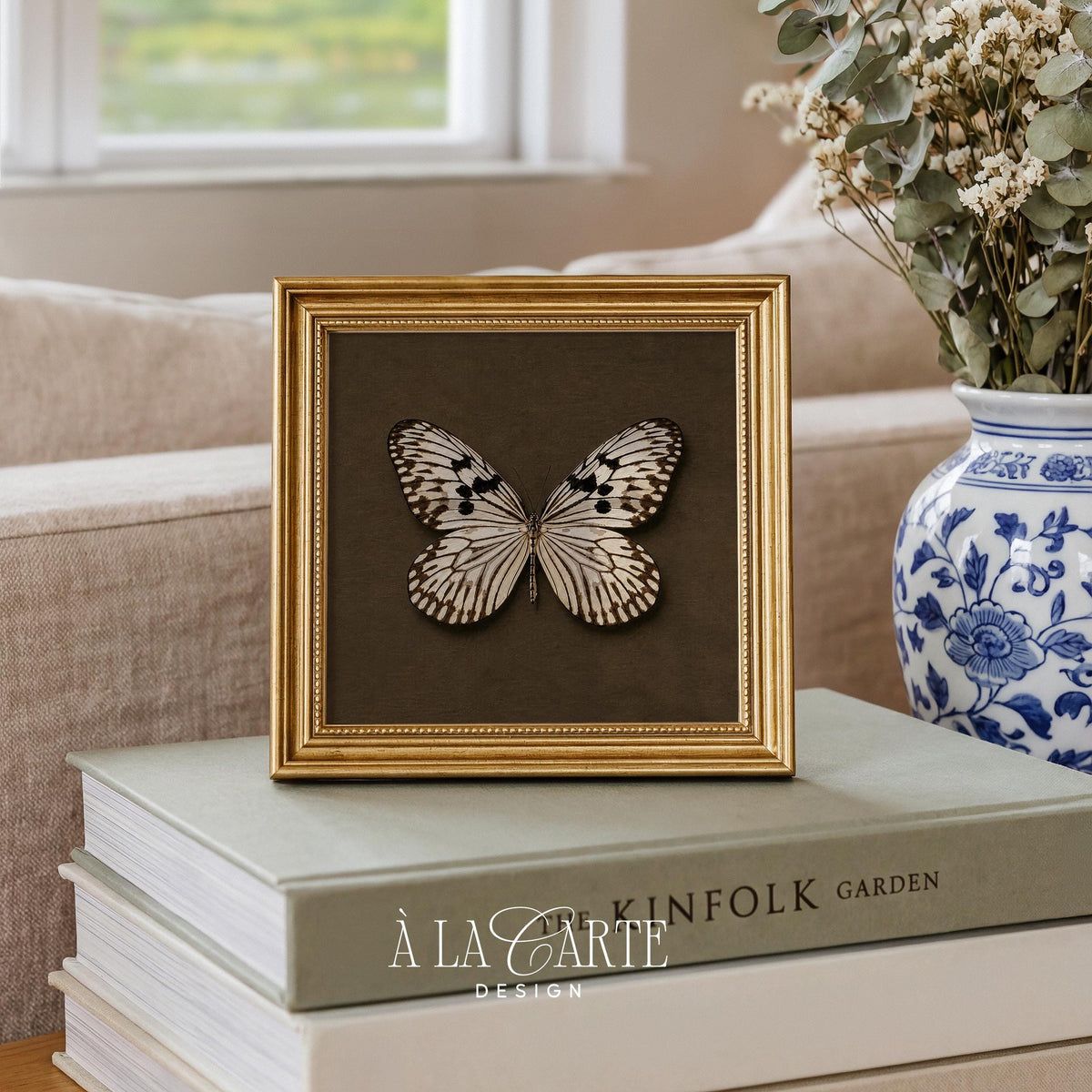 Butterfly wall art for bedroom — antique illustration with detailed veining on warm brown background