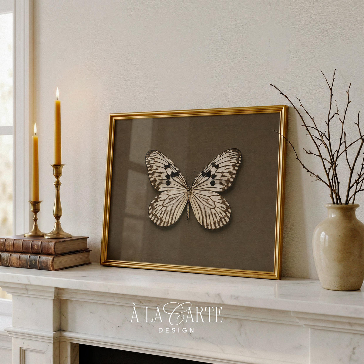 Delicate winged insect picture for study — aged botanical aesthetic with earthy tones
