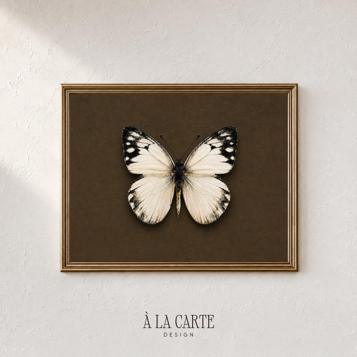 Moody insect artwork with vintage collector's display mounting on deep olive-brown canvas