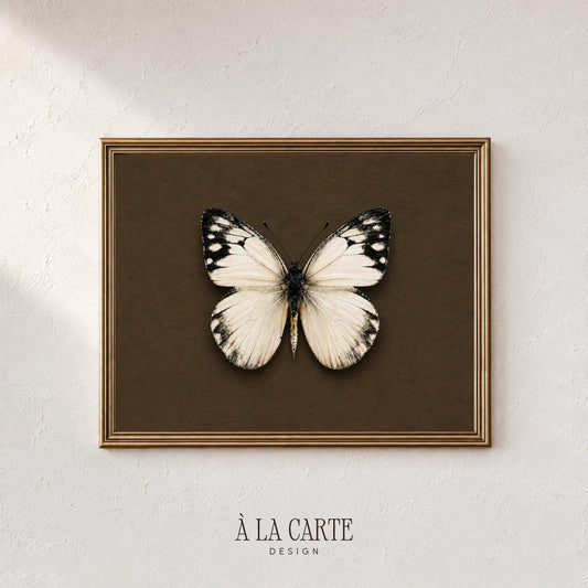Moody insect artwork with vintage collector's display mounting on deep olive-brown canvas