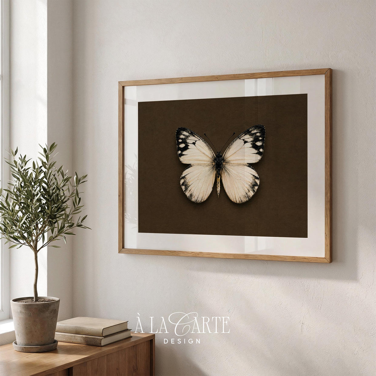 Specimen-style insect poster for study — moody naturalist illustration with museum mounting aesthetic