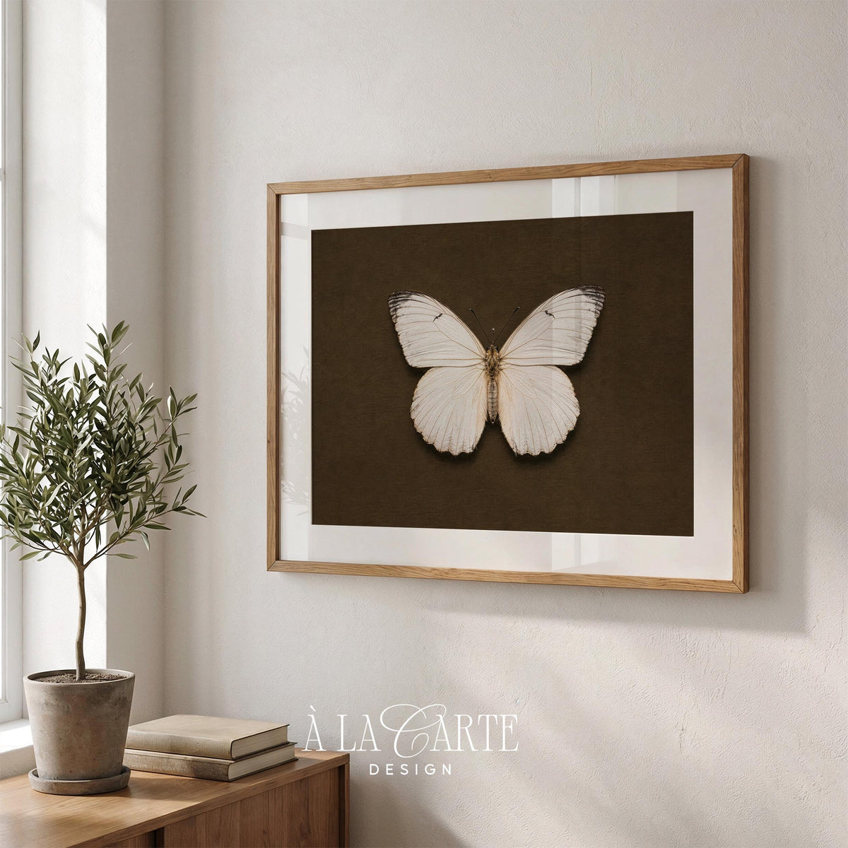Vintage naturalist poster wall print for living room — delicate butterfly illustration with fine detail and museum board aesthetic