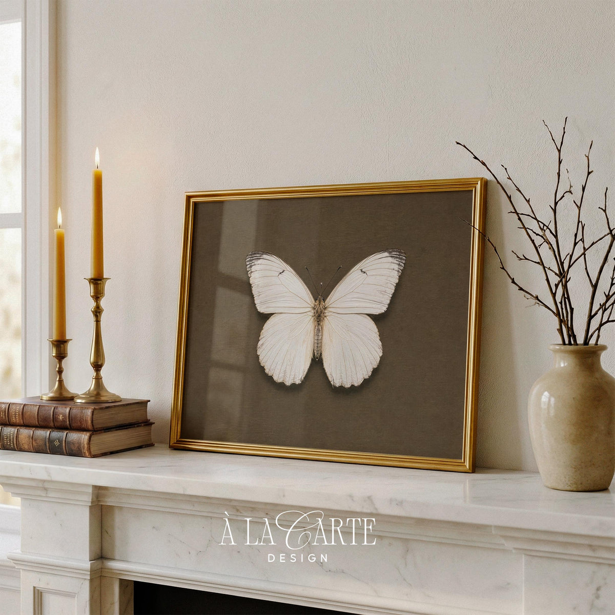 Fine-detail lepidopteran wall print for eclectic spaces — moody vintage curiosity cabinet art with parchment-inspired backdrop