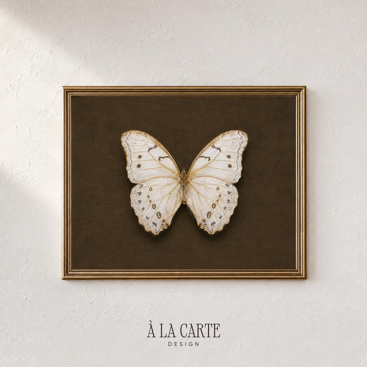 Delicate specimen illustration digital art — vintage scientific style with muted gold accents