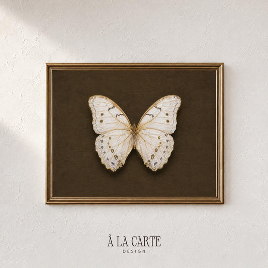 Delicate specimen illustration digital art — vintage scientific style with muted gold accents