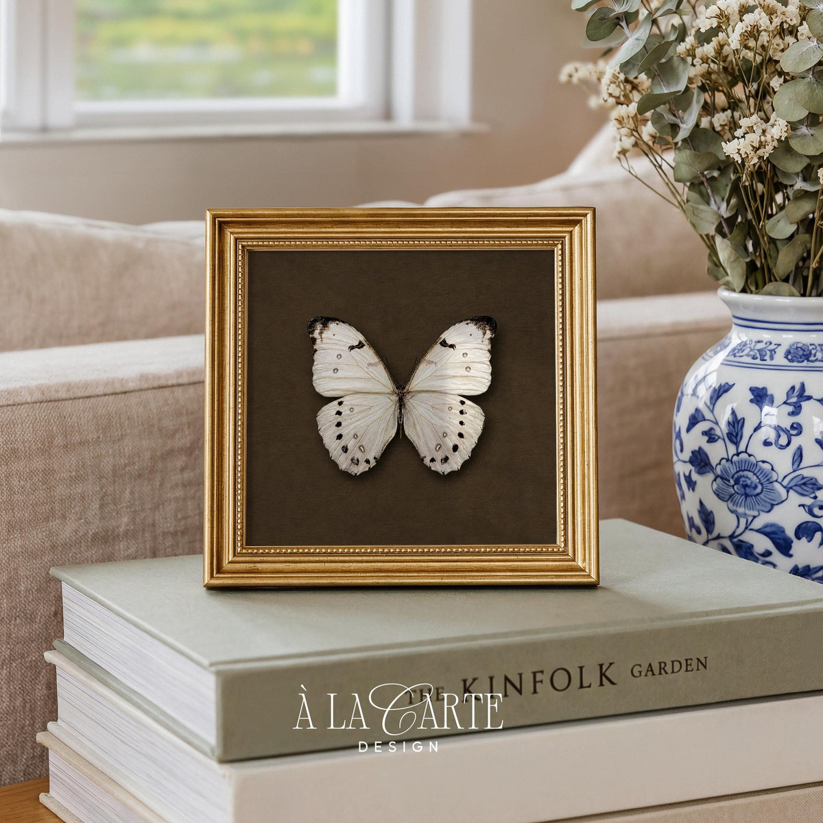 Butterfly illustration digital download for library — old-world entomology cabinet aesthetic with warm undertones