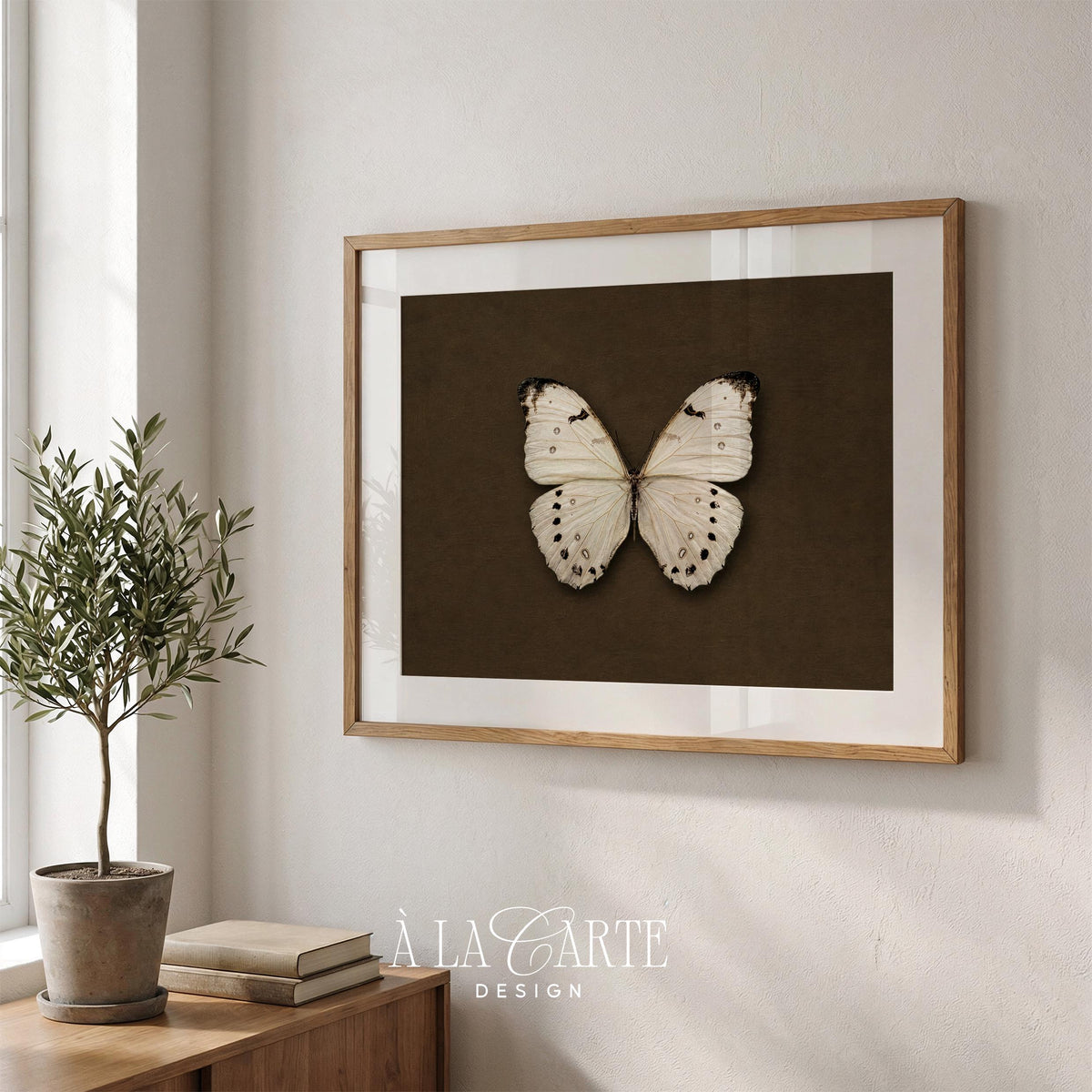 Butterfly wall art digital file for entryway — antique collection-style illustration with sophisticated dark tones