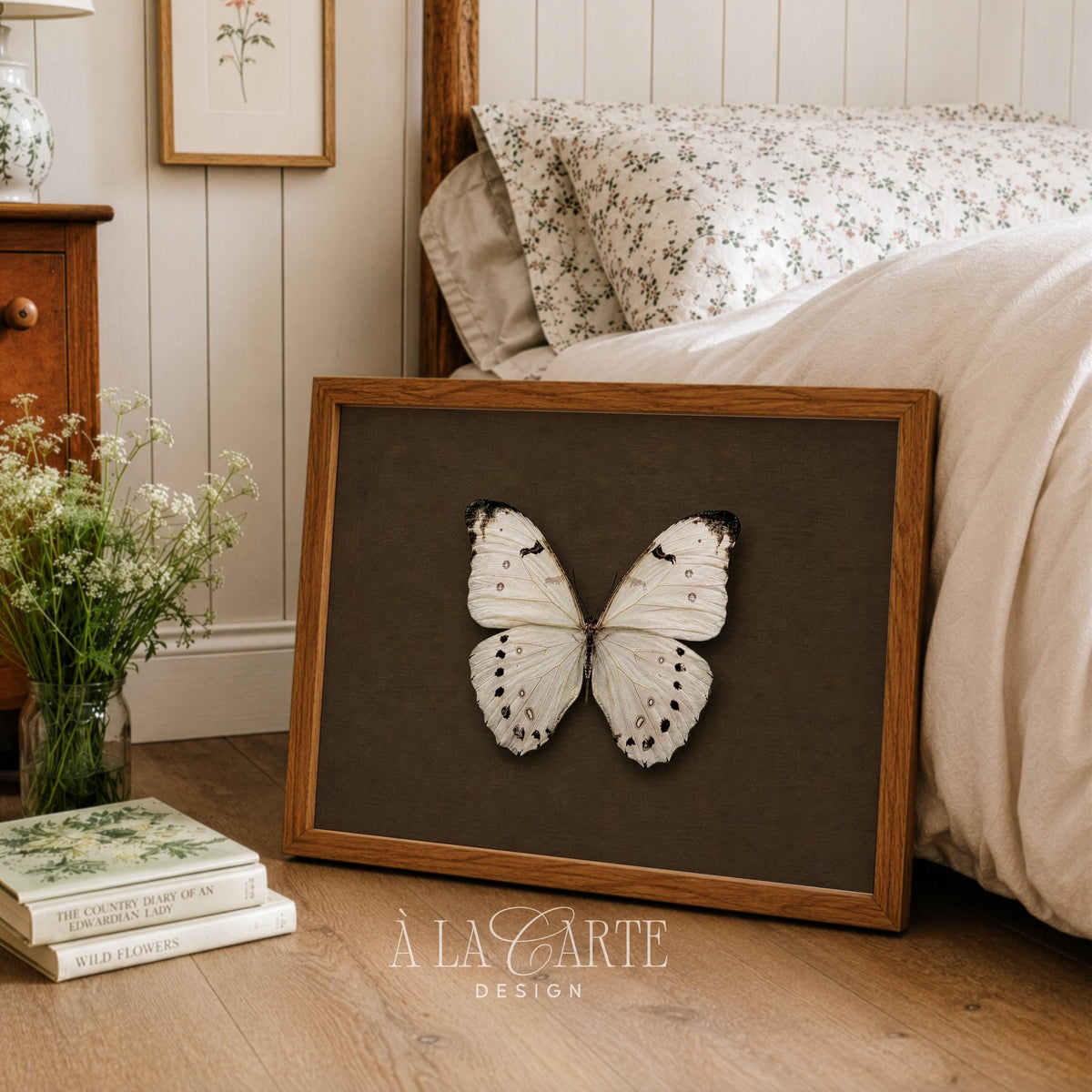 Antique butterfly poster for office — delicate winged creature in museum specimen style with rustic charm