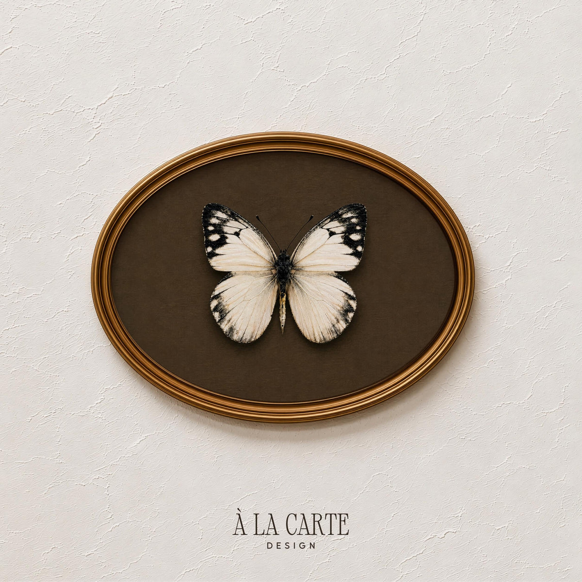 Vintage Butterfly Wall Art, White Moth Print, White Butterfly Printable, Insect Art, Dark Academia Decor, Cottagecore Decor H219