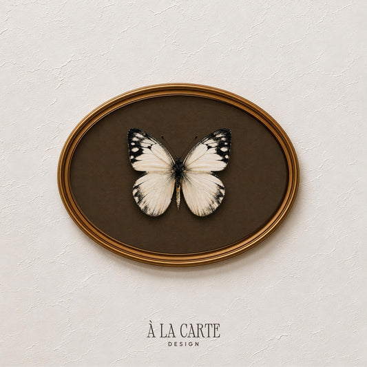 Vintage Butterfly Wall Art, White Moth Print, White Butterfly Printable, Insect Art, Dark Academia Decor, Cottagecore Decor H219