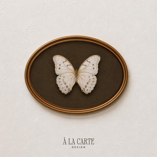 Antique Butterfly Wall Art, White Moth Print, White Butterfly Printable, Vintage Insect Art, Dark Academia Decor, Cottagecore Decor H222
