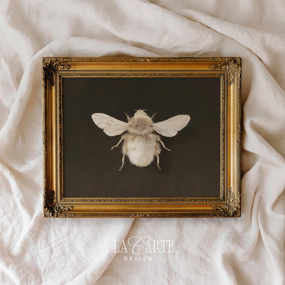 Naturalistic insect wall decor for dark academia spaces — detailed wings and fuzzy body rendering