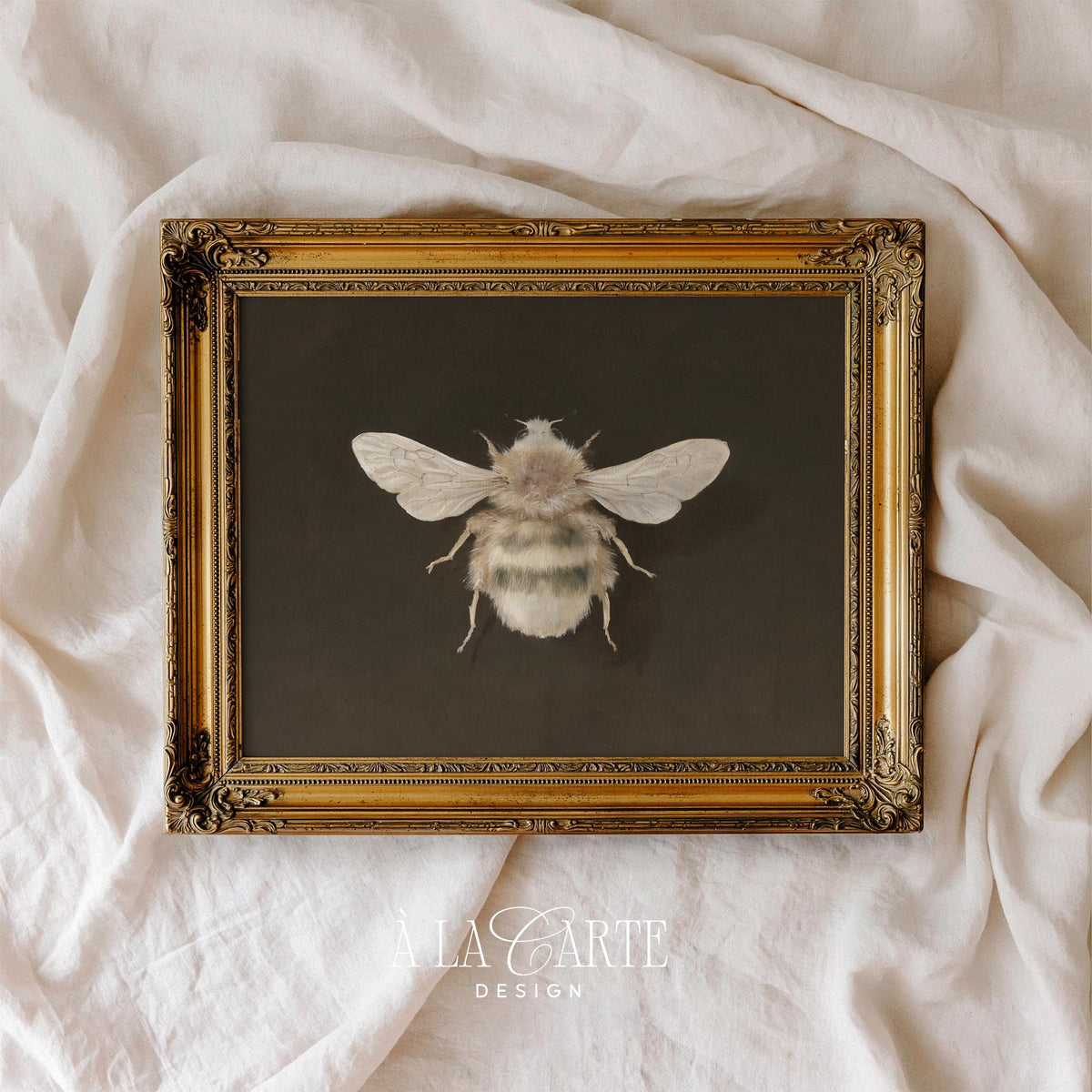 Botanical insect picture printable for entryway — rustic bee study inspired by antique scientific illustrations