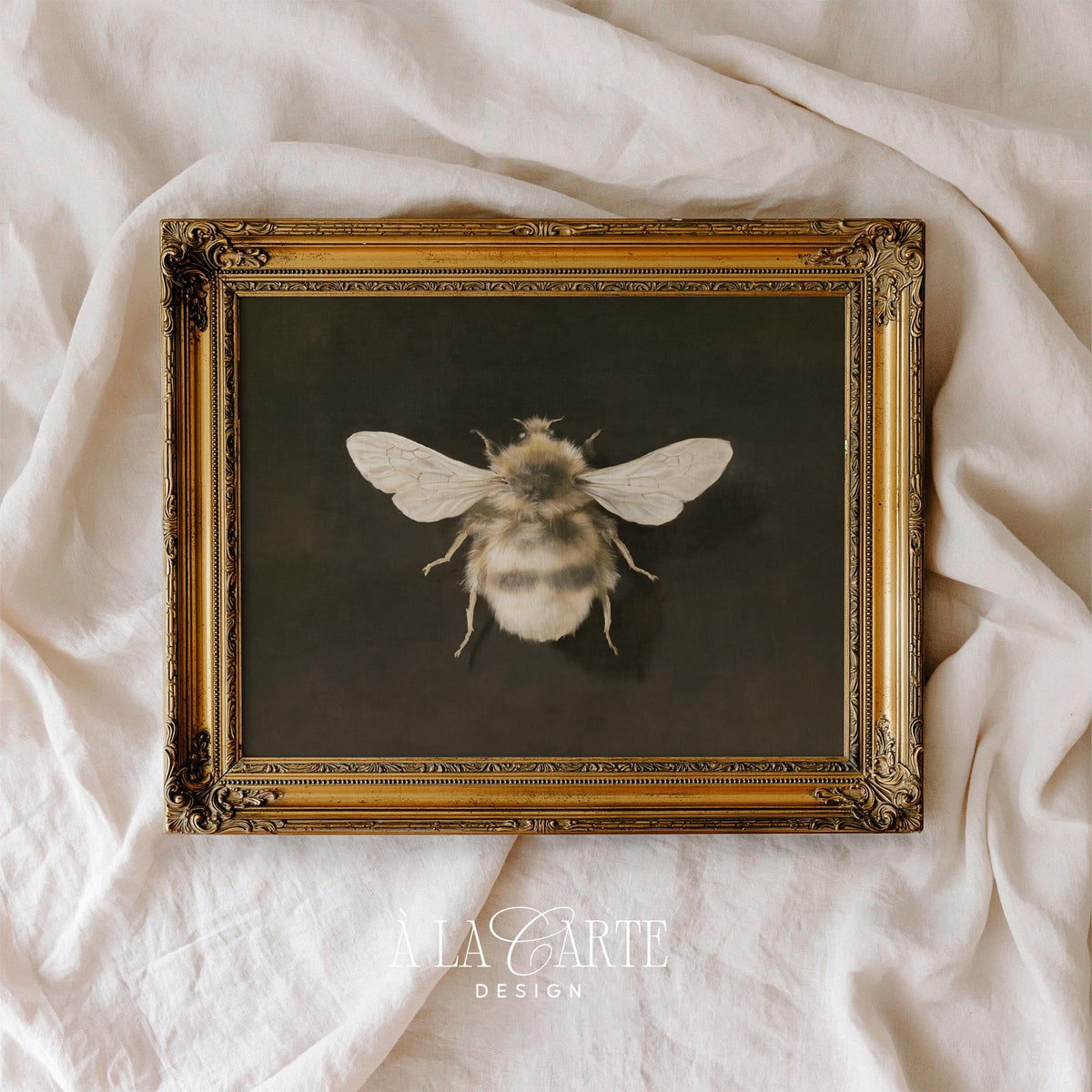 Scientific bee artwork digital print for office — antique specimen study with warm amber accents on deep backdrop