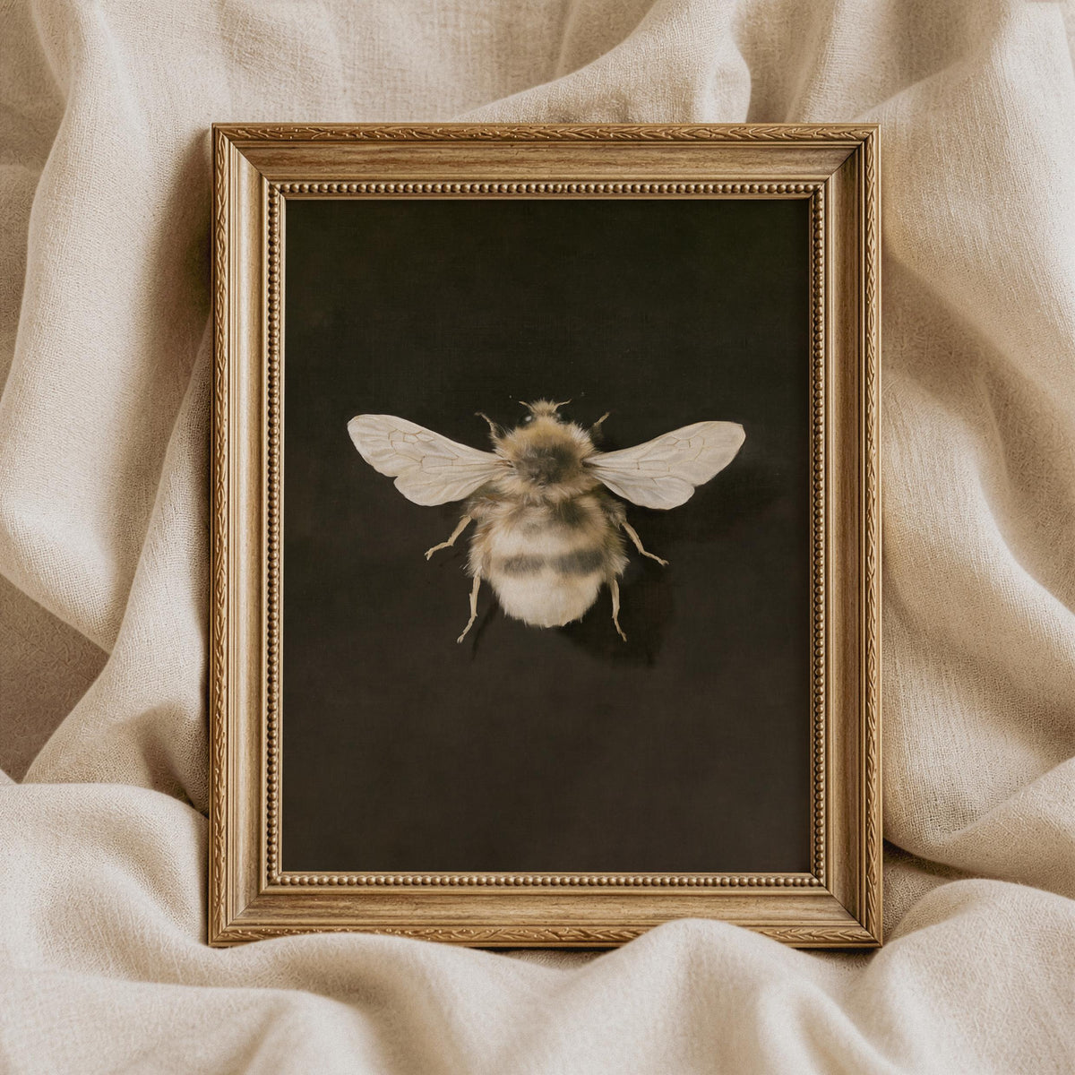 Vintage bee illustration printable art for study — detailed naturalist specimen with dark academia aesthetic