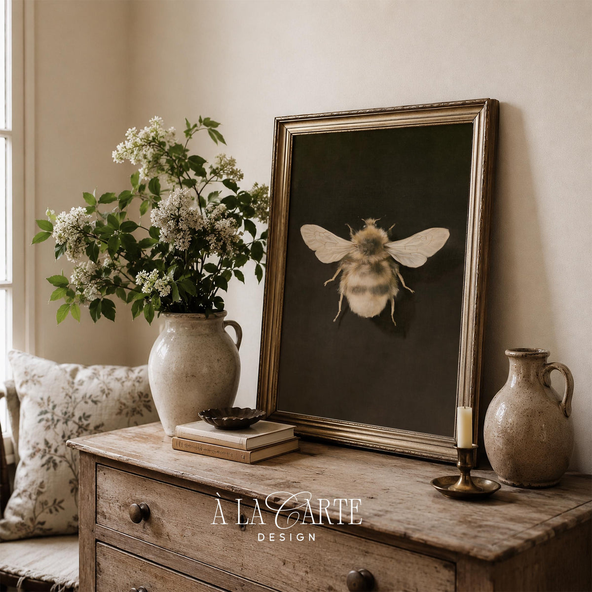 Vintage naturalist bee artwork printable — antique curiosity-cabinet style wall decor printable