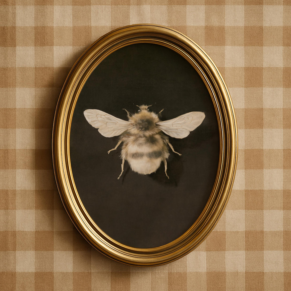 Museum specimen bee poster for living room — vintage scientific wall art with honey-toned detail