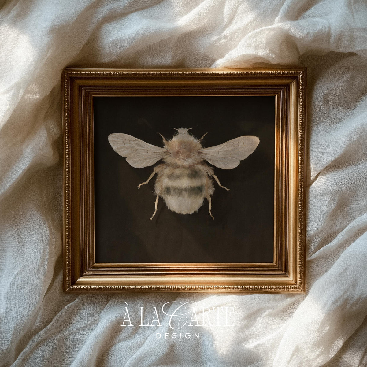 Vintage bee illustration printable art for study — detailed naturalist drawing with dark moody background