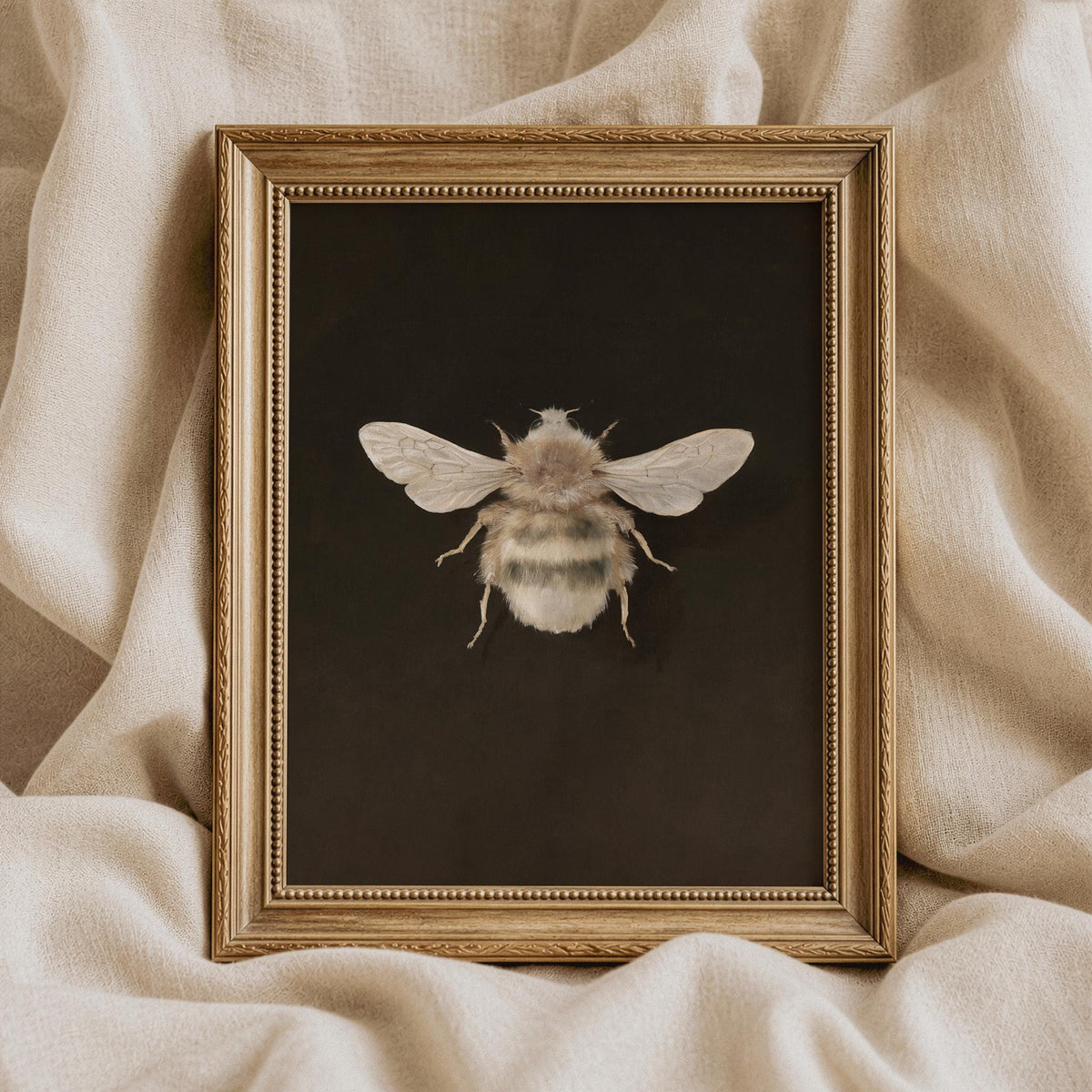Dark vintage bee digital picture for home — rustic naturalist garden illustration